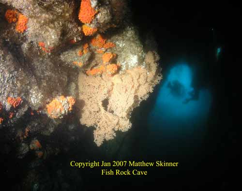 Fish Rock Cave Entrance.